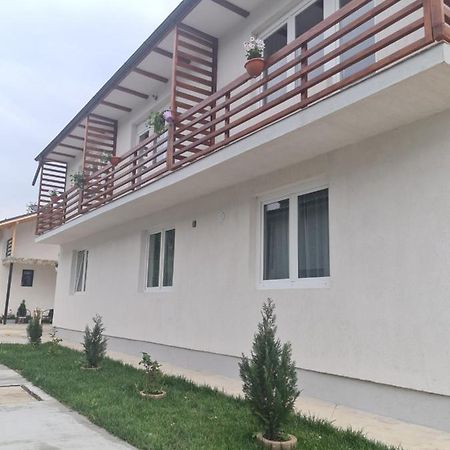 Luca'S Studio 2 ,Close To Therme Bucharest, Airport Otopeni 巴洛泰什蒂 外观 照片