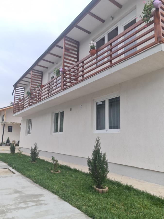 Luca'S Studio 2 ,Close To Therme Bucharest, Airport Otopeni 巴洛泰什蒂 外观 照片