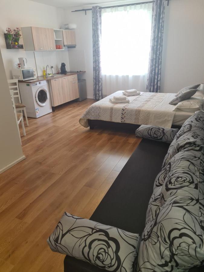 Luca'S Studio 2 ,Close To Therme Bucharest, Airport Otopeni 巴洛泰什蒂 外观 照片