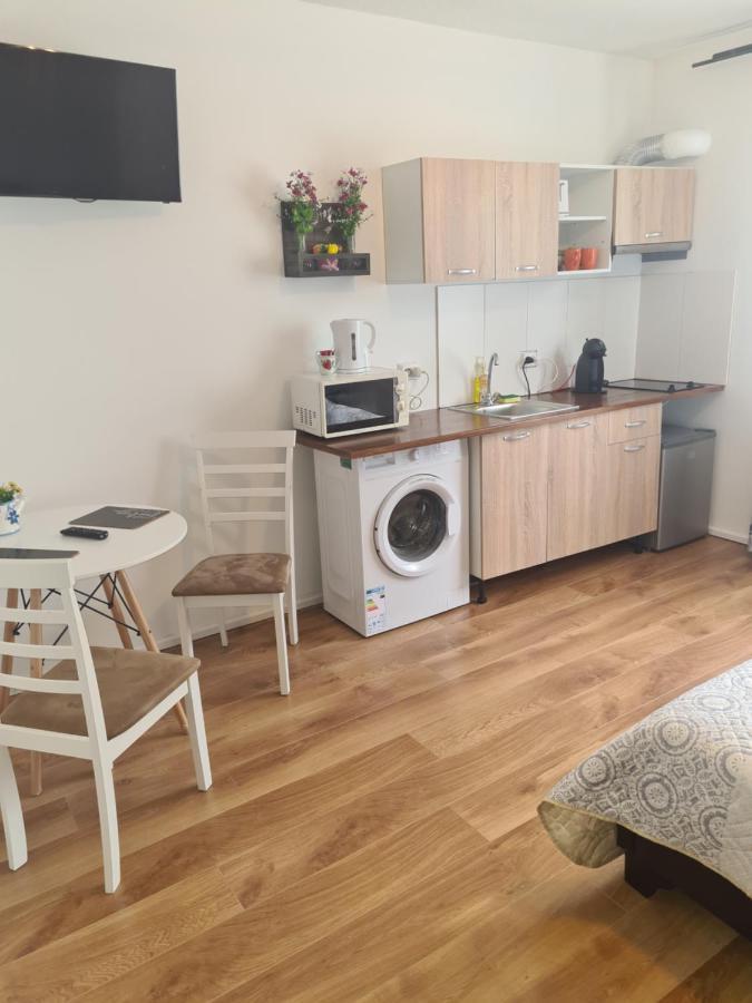 Luca'S Studio 2 ,Close To Therme Bucharest, Airport Otopeni 巴洛泰什蒂 外观 照片