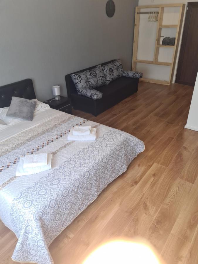 Luca'S Studio 2 ,Close To Therme Bucharest, Airport Otopeni 巴洛泰什蒂 外观 照片